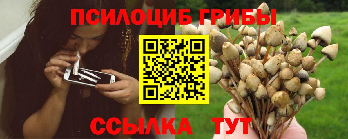 Михайловка  Псилоцибиновые грибы Psilocybine cubensis  Вход с VPN 